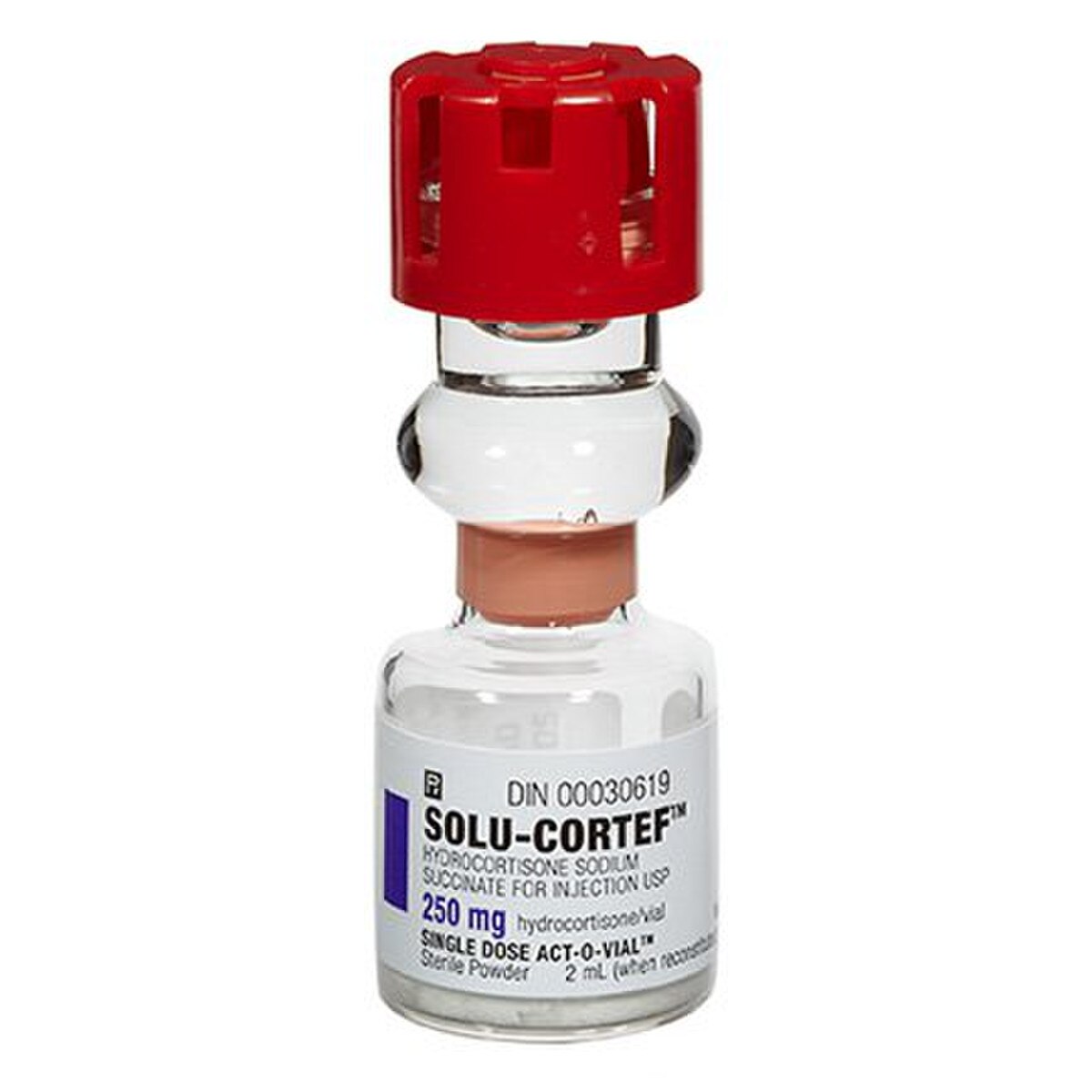 Solu-Cortef 250MG 00009-0013-06