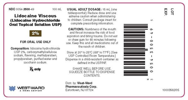 LIDOCAINE VISCOUS 2% SOL 100ML