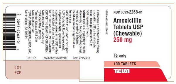 AMOXICILLIN 250MG CHW TAB 100