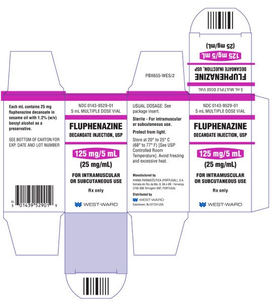 FLUPHENAZINE DECANOATE 125MG MDV 5ML