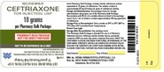 Ceftriaxone — 10GM, Powder for solution for injection, 1 vial