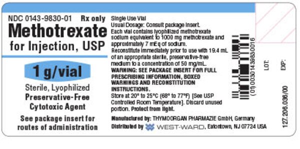 METHOTREXATE 1GM SDV 10ML