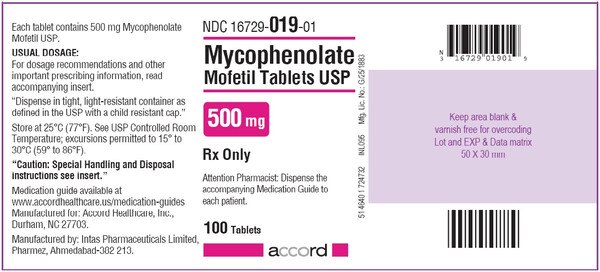 MYCOPHENOLATE 500MG TAB 100