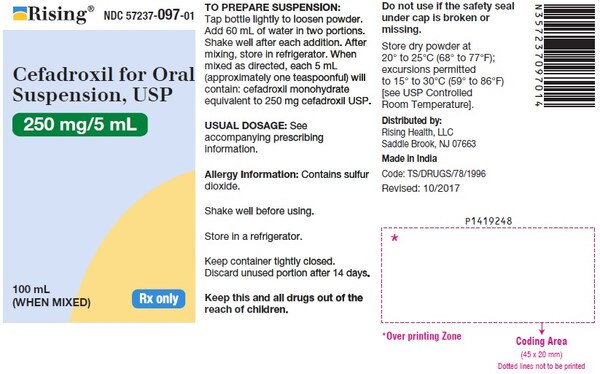 CEFADROXIL 250MG/5ML ORAL SUS 100ML