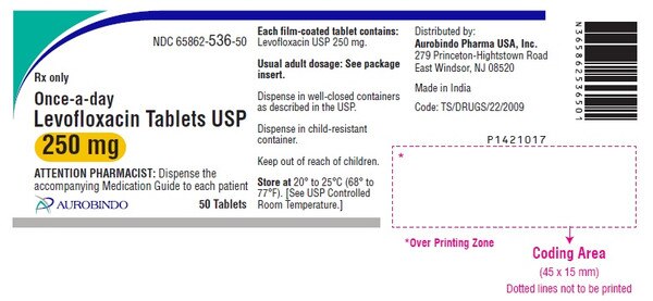 LEVOFLOXACIN 250MG TAB 50