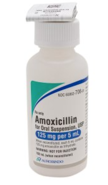 Amoxicillin — 125MG-5ML, Powder for suspension, 1 × 100 mL bottle